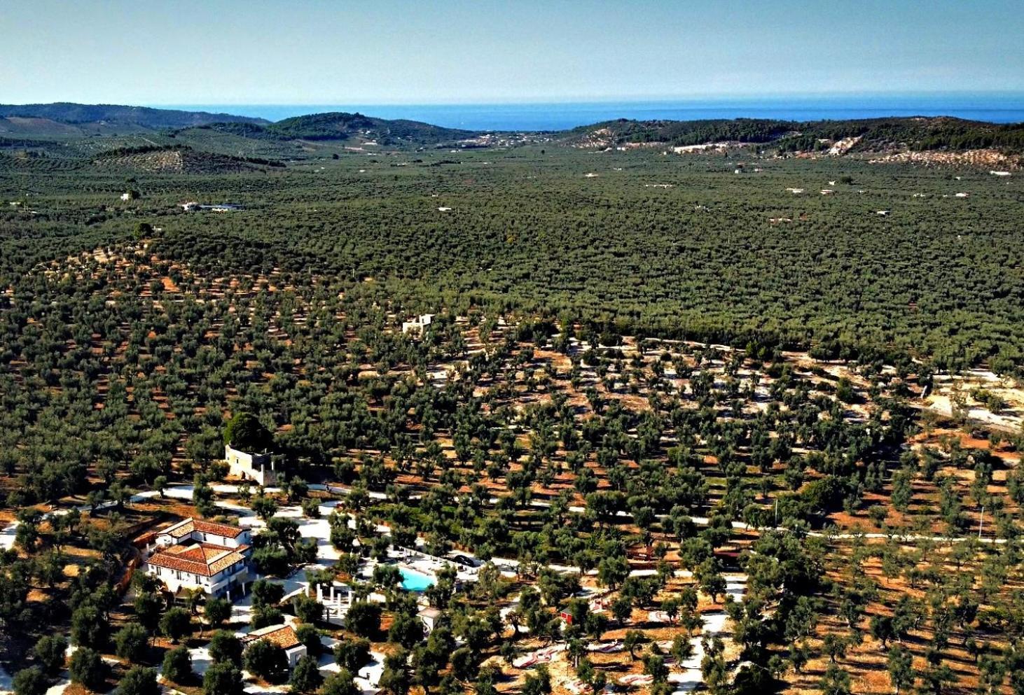 Agricampeggio - Solo Piazzole Vuote - Agriturismo Passione Natura Vieste Exteriör bild